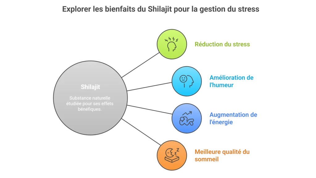Shilajit et cortisol : un soutien naturel contre le stress ?